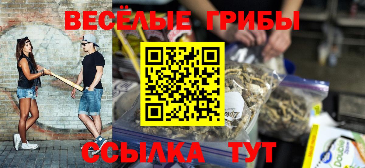 Галлюциногенные грибы мухоморы  Вход с VPN  Ессентуки  Галлюциногенные грибы Magic Shrooms 