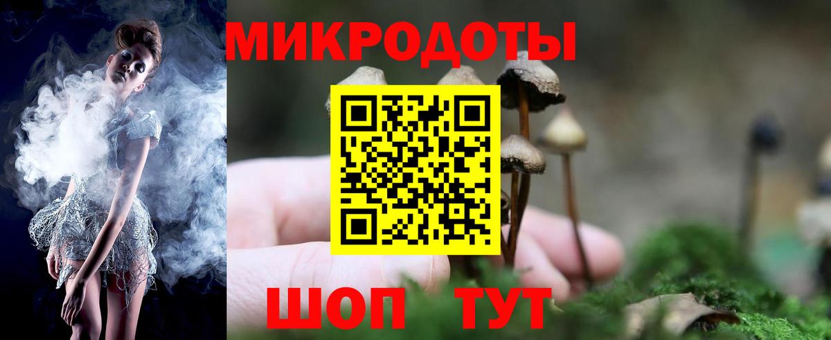 Галлюциногенные грибы мухоморы Ессентуки
